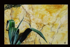 agave-au-printemps