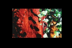 porte-rouge