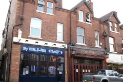 blue-cat
